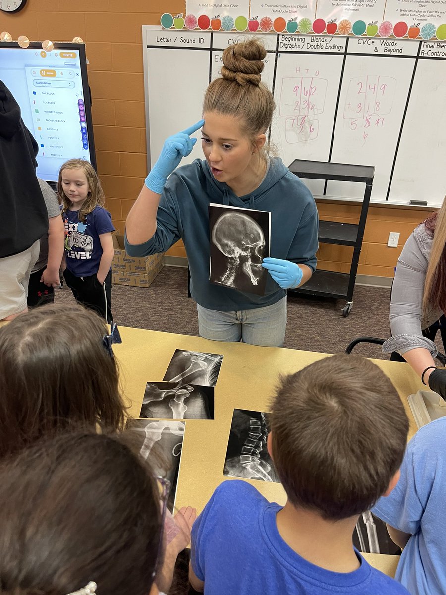 Megan McReynolds tweet media