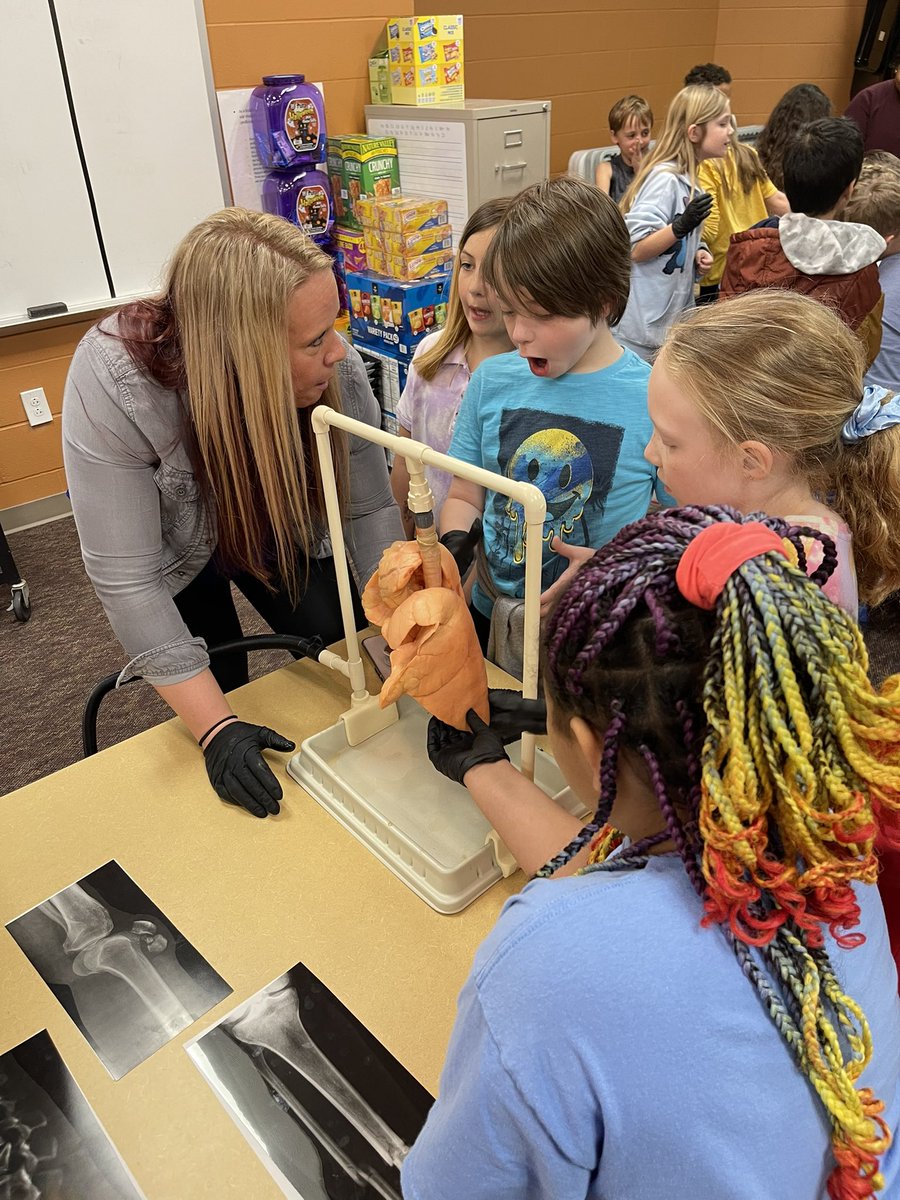 Senior Biomedical Innovations students from <a href="/CCHSCavs/">Capital City High School</a> visited <a href="/PioneerTrailJC/">Pioneer Trail Elementary</a> second graders for a medical and body systems demonstration to finish up their Body Systems Unit!! Partnerships with future Cavaliers!! We heart 💙 science!!