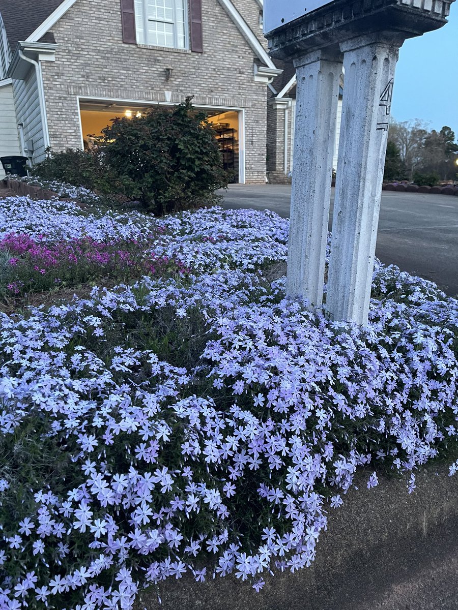 Spring in nc