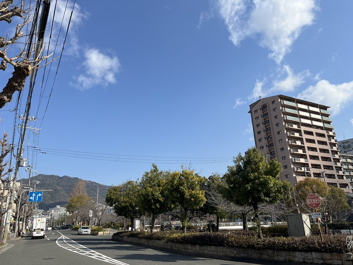 lionya_dot_com's tweet photo. おはようございます。
兵庫県神戸市の空は晴れ☀️

3/22金曜日🤗
きれいな青空
今日もよろしくお願い致します❣️

作業着の通販ライオン屋ドットコム
https://t.co/G6bj5sXK5c

#作業服 #安全靴 #ライオン屋 #ライオン屋ドットコム #らいおん #まとめ買いがお得 #企業公式が毎朝地元の天気を言い合う https://t.co/FPn68ghG6V