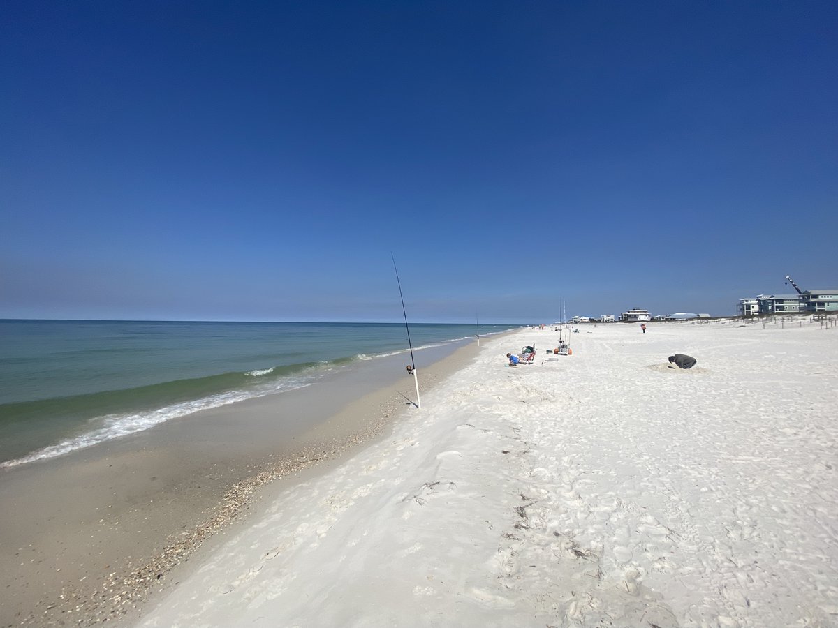 scallywagjim's tweet image. This is what Country Life looks like. 
#forgottencoast #surffishing #pompano #capesanblas #bloodlinetackle #scallywagsnation