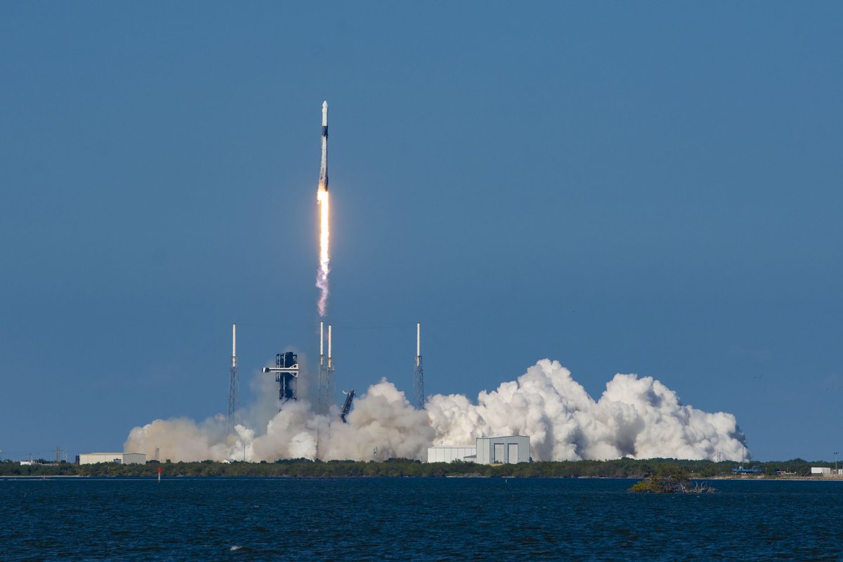 SpaceX tweet picture