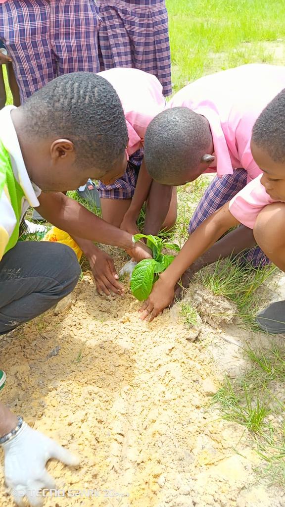 ACCARD20's tweet photo. ACCARD tree planting 🌴 🌴with Environmental Sustainability Club (ESC) members at Osubi Secondary School #DeltaState. As part of #environmental and #climatechange campaigns &amp; raising young champions. We reminded them of the many benefit of matured trees.@UN @UNFCCC @DSGovernment https://t.co/ahYYwa9w5F