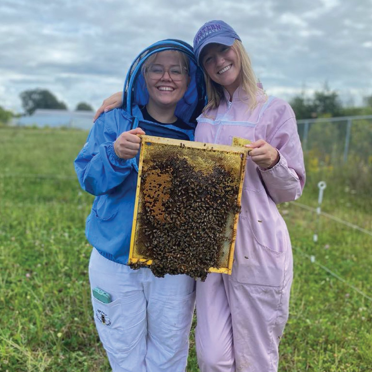 NOD Apiary Products tweet media