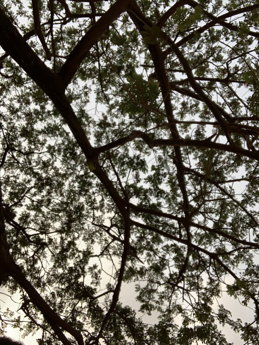 RubyMay648337's tweet image. 