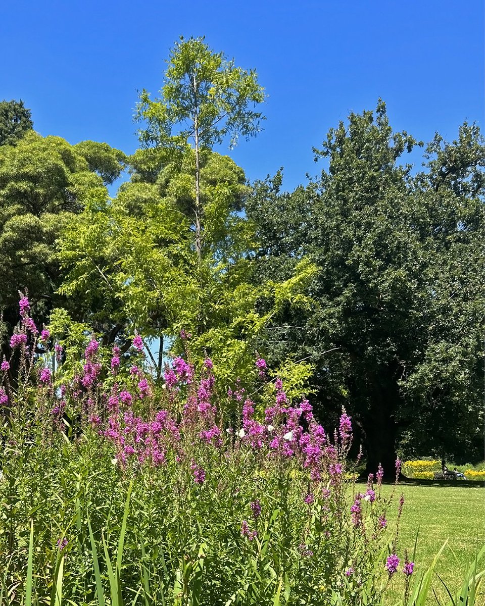 Have a blooming good morning 🌸 📍 Burnley campus