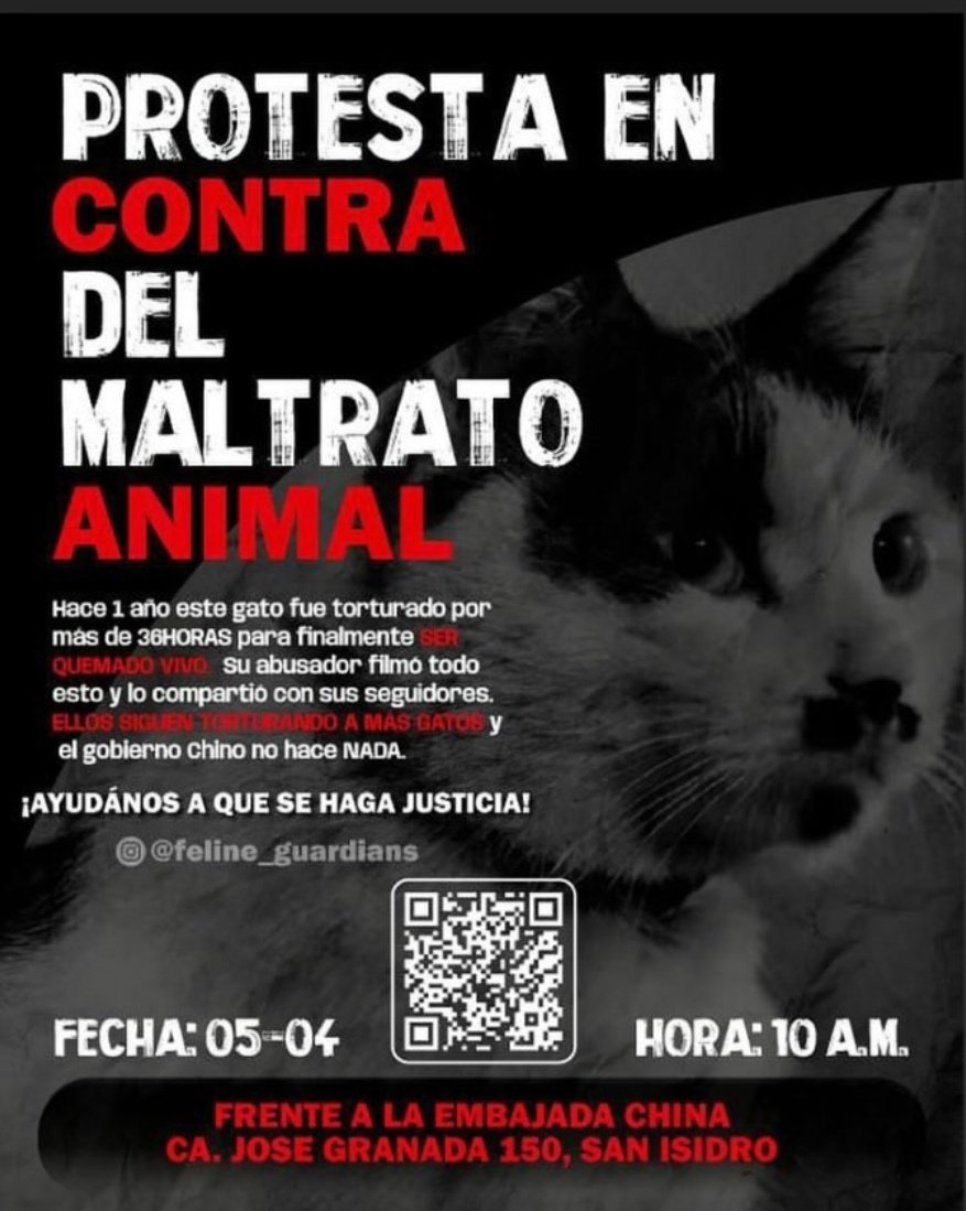 Alejo_23Esp's tweet photo. #Peru se une en contra del Maltrato Animal en #China.
el 05 de Abril estarán presentes frente a la embajada de China en Perú @ChinaEmbPeru , exigiendo leyes de protección animal y basta de silencio cómplice por las autoridades Chinas.
@AdhikaPrapti @samesama5 @felineguardians https://t.co/A727pTIfig