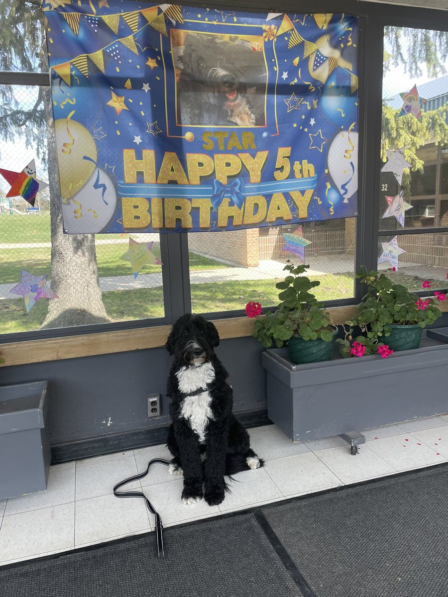 Happy 5th Birthday, Star! We love you! <a href="/A2schools/">A2 Public Schools</a>