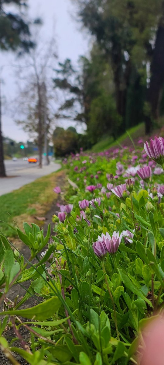 Alex Lynd tweet media