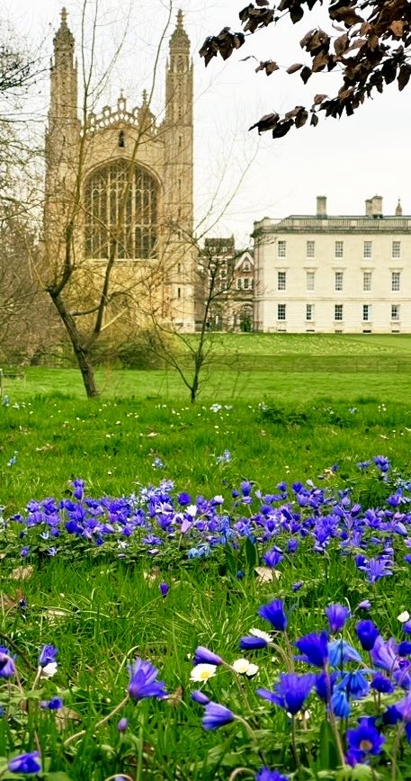 The #beauty of ⁦<a href="/Kings_College/">King's College, Cambridge</a>⁩ this week ⁦<a href="/emmajgleave/">emmajgleave</a>⁩ ⁦<a href="/Cambridge_Uni/">Cambridge University</a>⁩ ⁦<a href="/BBCCambs/">BBC Cambridgeshire</a>⁩ ⁦<a href="/theUL/">Cambridge University Library</a>⁩ ⁦⁦<a href="/acambridgediary/">A Cambridge Diary</a>⁩ ⁦<a href="/The_RHS/">The RHS</a>⁩