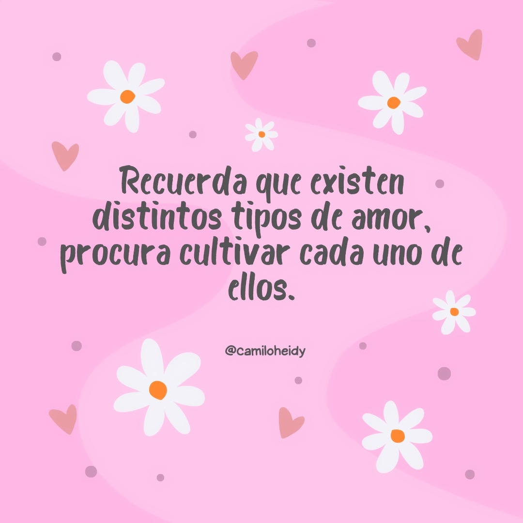 Heidy Camilo tweet media