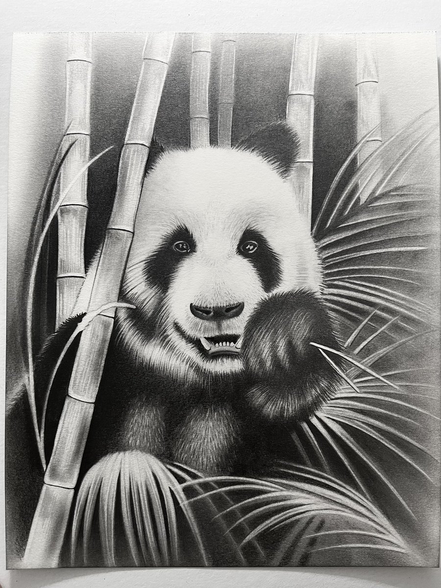Graphiteartz's tweet image. #Panda
