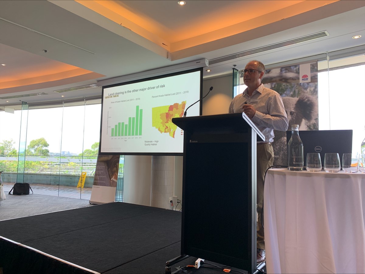 GCS_Lab's tweet image. Lab leader @j_r_rhodes presenting at the NSW Koala Summit today - using work from the @GCS_Lab to inform on koala conservation