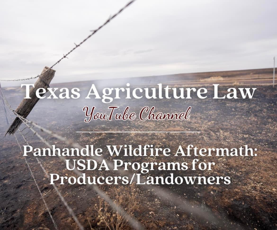 The damage left in the wake of the Panhandle wildfires is unimaginable and will continue to impact landowners, families, and communities. Dr. Bart Fischer and I walk through the various programs and requirements for producers and landowners to consider. youtube.com/watch?v=G8IHrl…