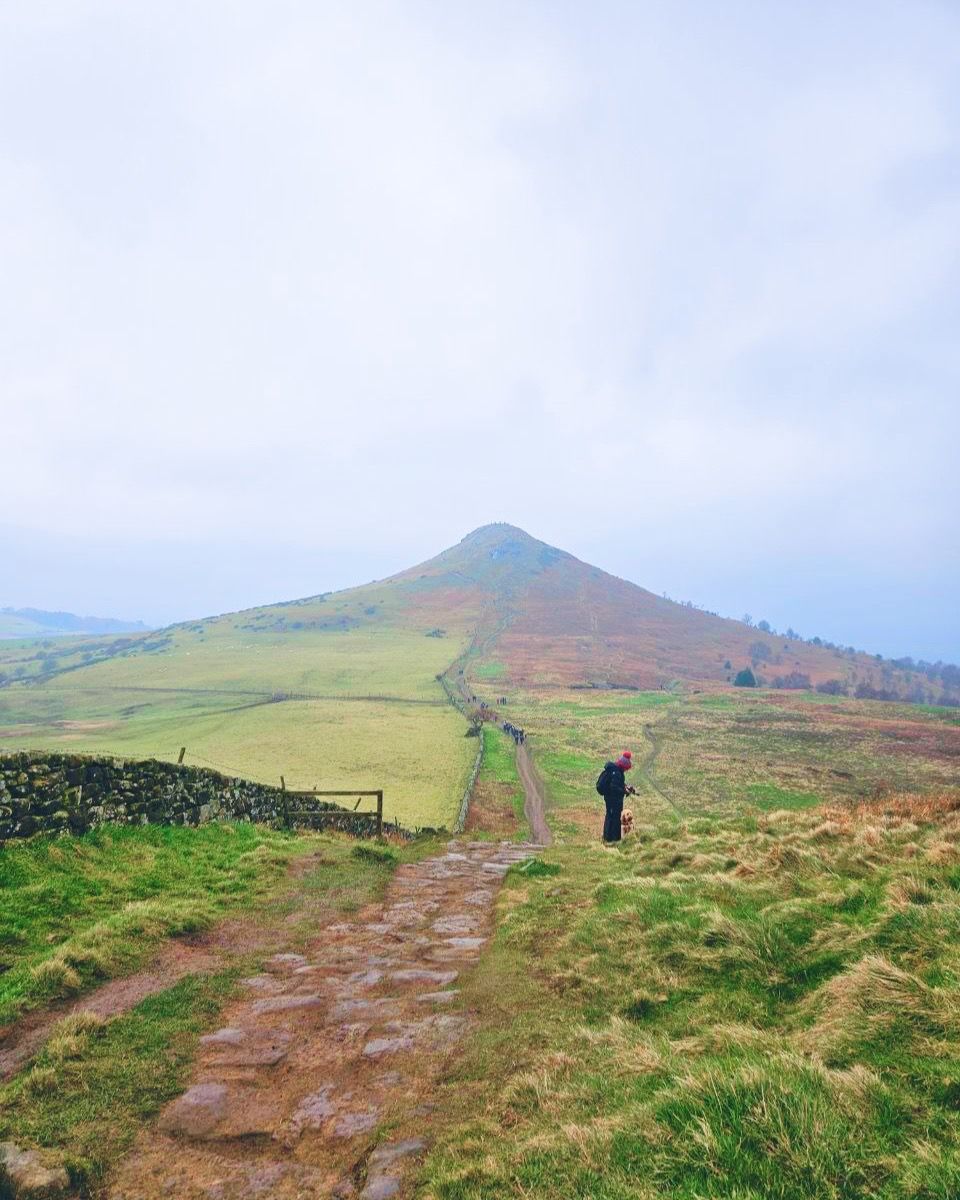 Kate Mackay tweet media