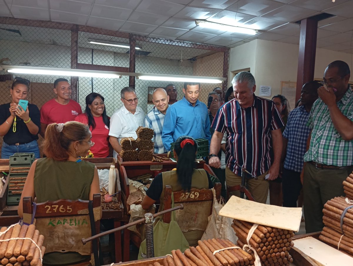 Los trabajadores de la empresa de Acopio y Torcido de tabaco de #SongoLaMaya trabajan por sacar adelante su plan de producción. Allí el 80 por ciento son mujeres. La empresa filial se propone como meta ser pionera en el oriente de #Cuba en la exportación de tabaco.