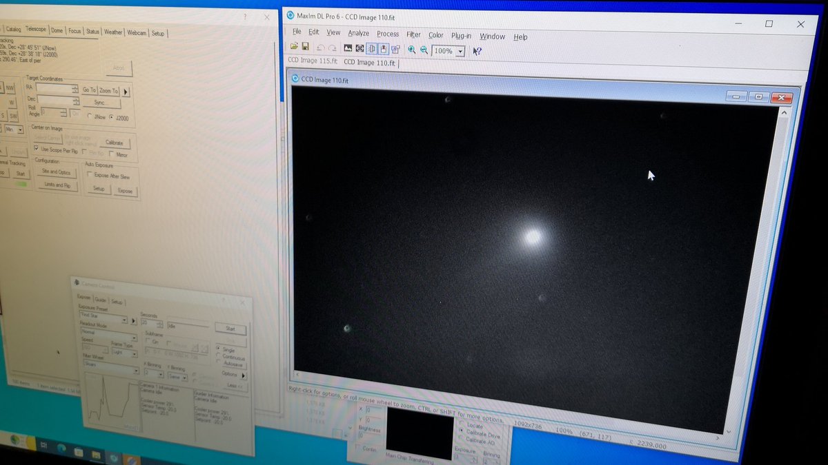 Claire Davies tweet media