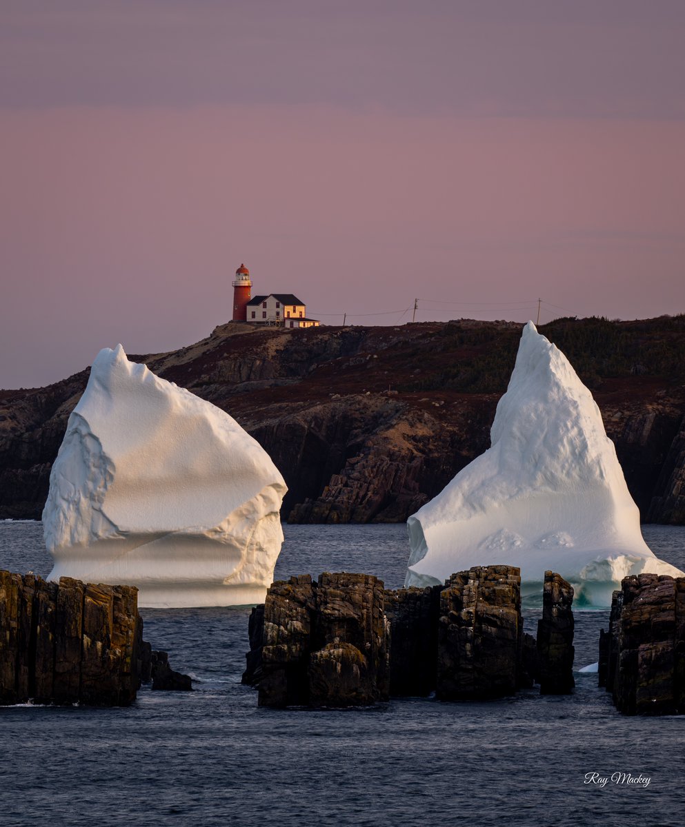 Ferryland, Newfoundland. #newfoundland #Canada #explorenl #explorecanada