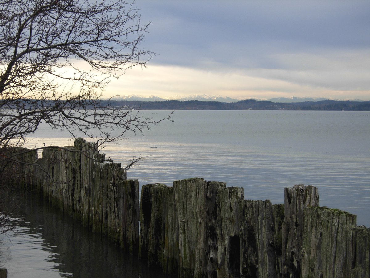 Located north of Seattle, WA, habitats at Padilla Bay National Estuarine Research Reserve support a variety of fish, crabs, and birds. Visitors might also spot seals and otters! Learn more: coast.noaa.gov/nerrs/reserves… #TravelTuesday @‌padillaresearch