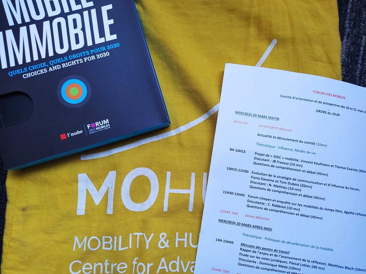 Thrilled that our MoHu representative, Chiara Rabbiosi, contributed to @FViesMobiles' steering committee discussions on mobility challenges, lifestyles and transitions in the last two days!