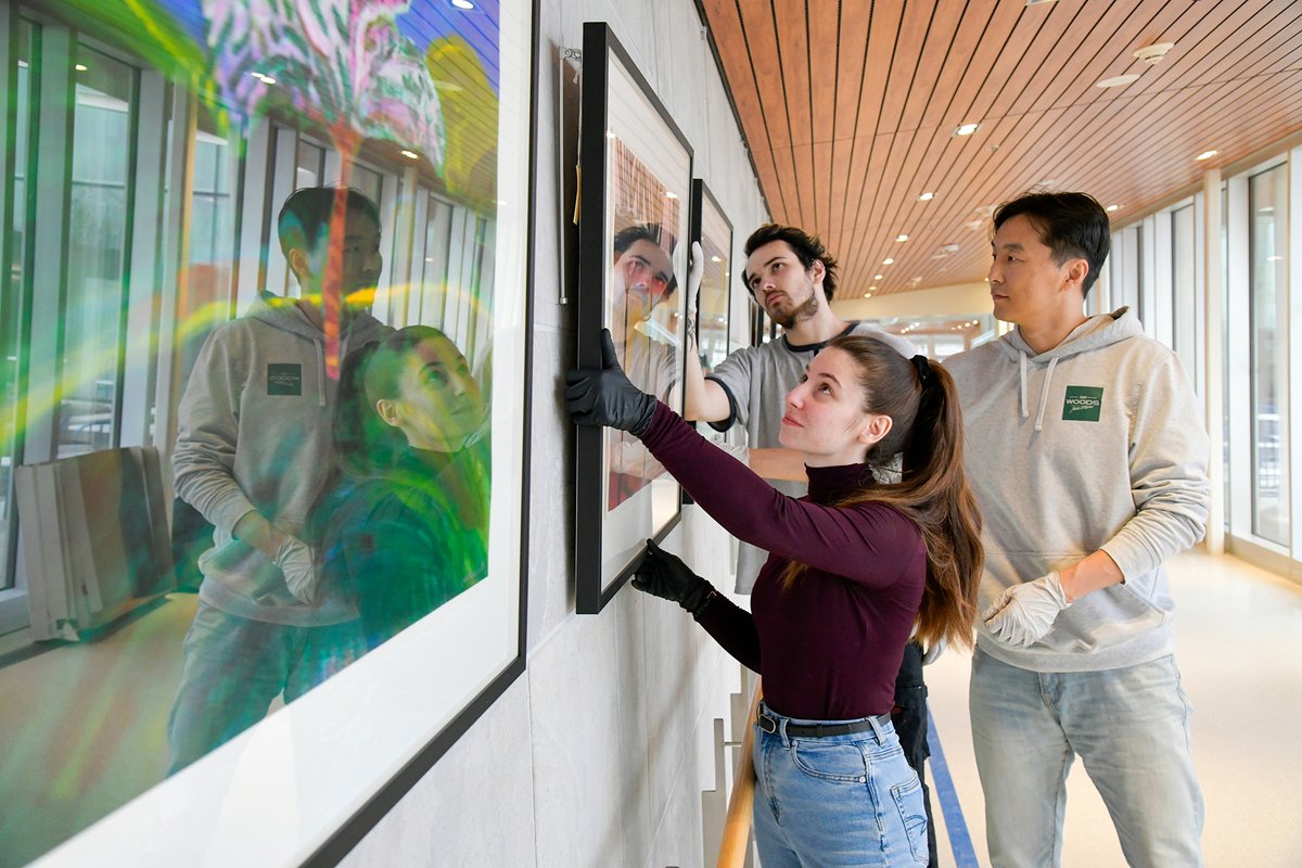 @georgiancollege students Lexus, Jun & Caleb worked alongside RVH art curator Frances Thomas to install an art exhibit showcasing artist Christina Luck. The exhibition, 'Healing Through Art: Nature's Comfort,' runs in RVH's David McCullough Hearts & Minds Gallery until mid-June.