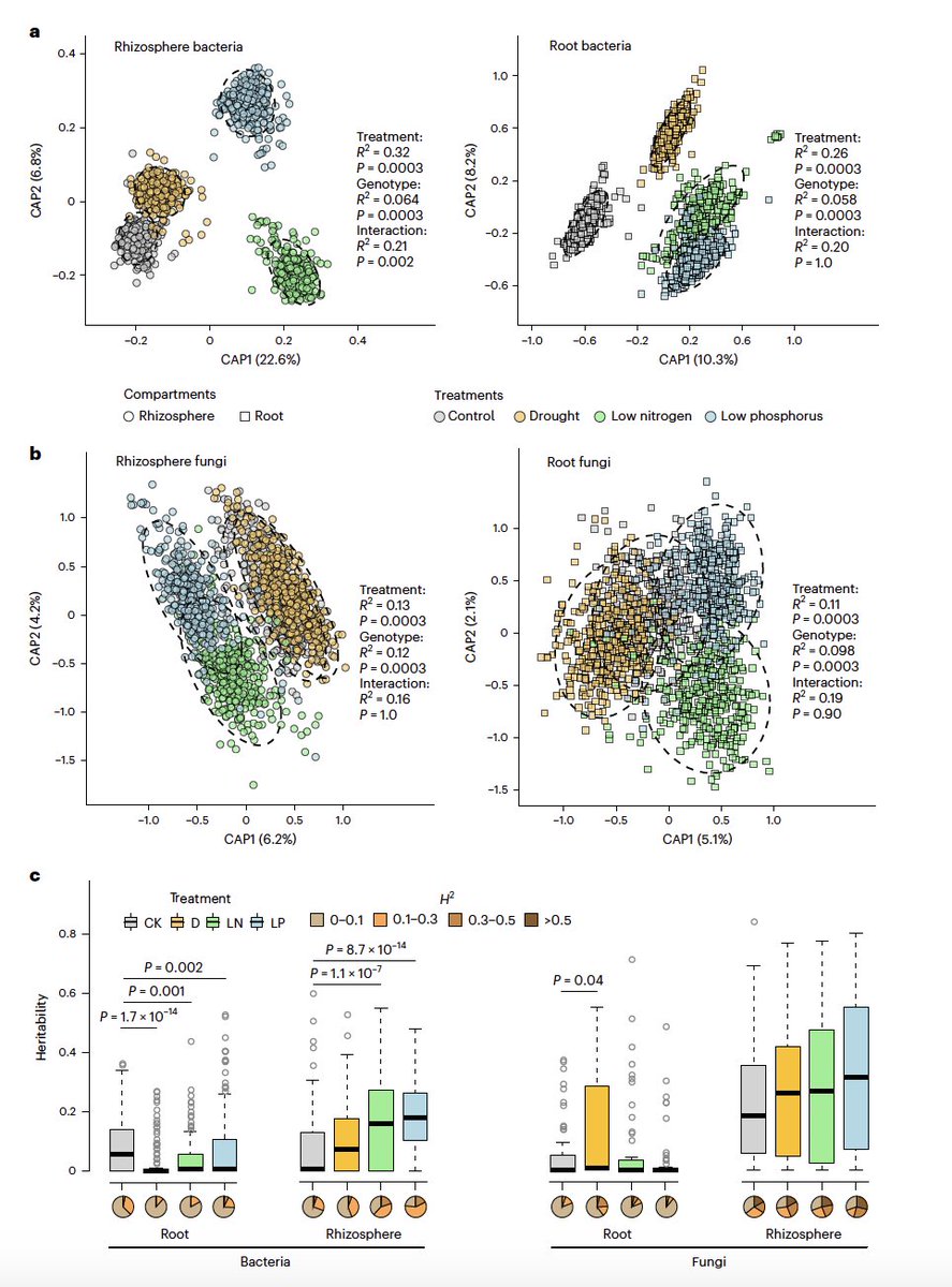 Very happy to be involved in this massive study that shows that root and rhizosphere microbiomes are heritable across 129 locally adapted maize varieties, and modulate plant stress response. Led by @Cfg_Peng and including many, among which @ManuDelBaq nature.com/articles/s4147…