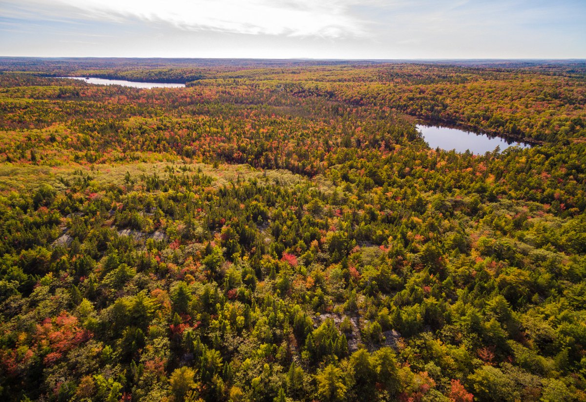 FriendsofBlueMtnBirchCoveLakes tweet media