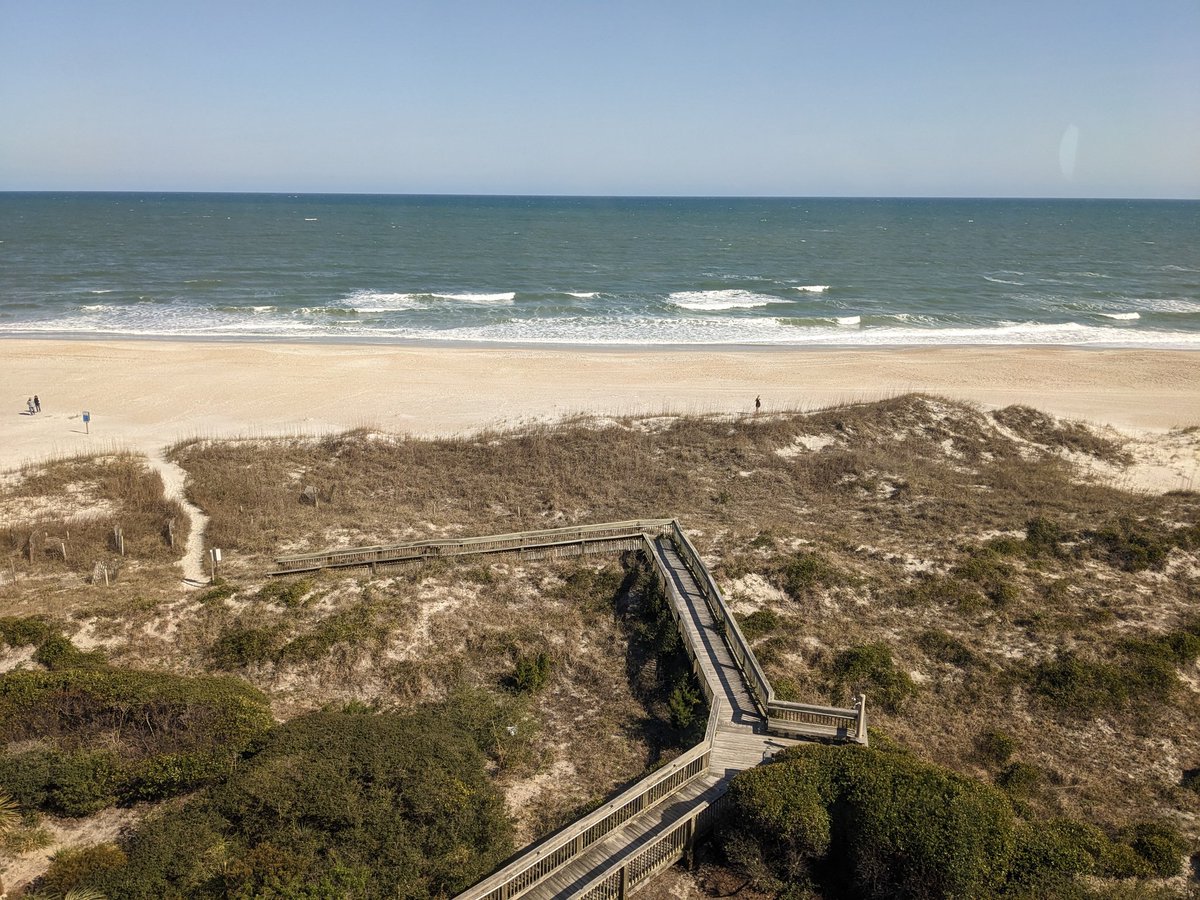 Dr Headbutt 🐏 she/her 🌈💙 tweet media