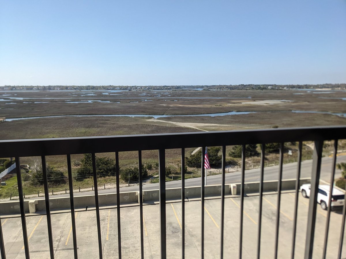 Dr Headbutt 🐏 she/her 🌈💙 tweet media