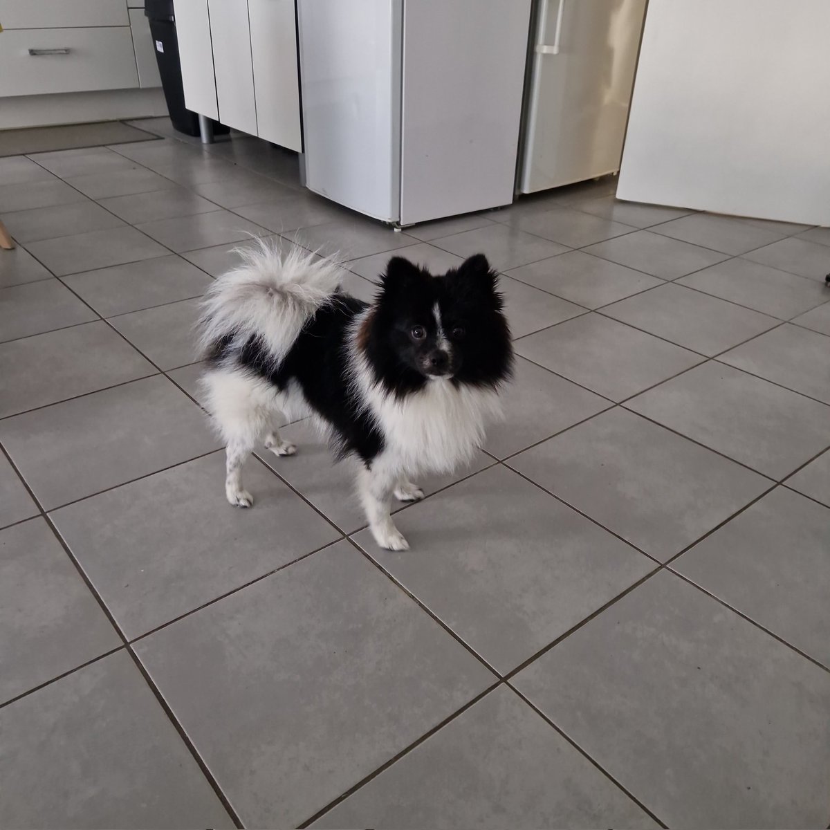 #NouvellePhotoDeProfil