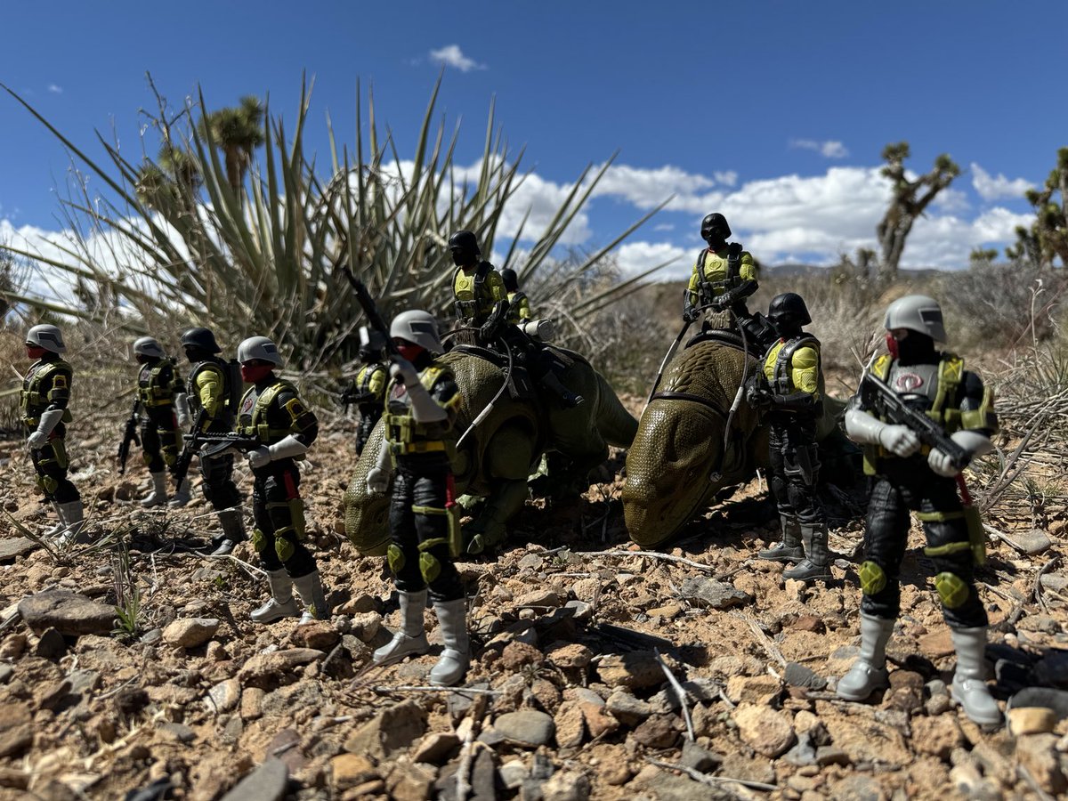 CletusOfCobra's tweet photo. Python Patrol #cletusthedesertcobraofficer #chadsjoesandcobras
#Cobra #GIJoeClassified #Gijoe #cobraclique
#gijoeisthere #GIJoeARealAmericanHero #6inch #6inchscale #Hasbro #GridironStudios #GridironProps #PythonPatrol #Dewback https://t.co/ReZQtp7QRH