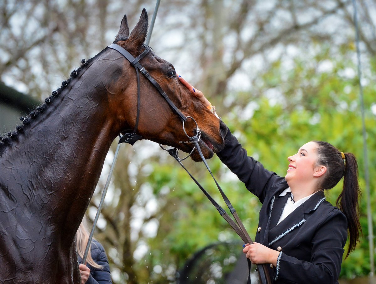 A big well done to Gaelic Warrior after he won the Arkle.