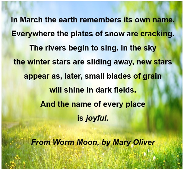 ReadEasySotonIW's tweet photo. Today is #WorldPoetryDay2024  ~ here is the first verse of a lovely poem by Mary Oliver, called Worm Moon. Discover more about her work here https://t.co/90bWn55A5G
#poetrylovers  #SpringVibes  #readingforpleasure 🌷😊🌼 https://t.co/7fzGhe9Nza