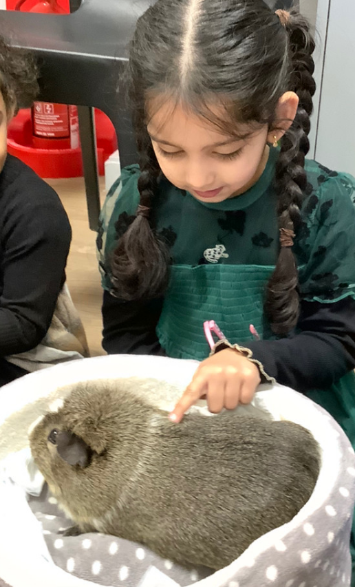 Nursery loved having @LionLearners in today with Michaela, as part of their animals topic. The children learnt how to handle them and what they like to eat. We were super gentle and super brave!