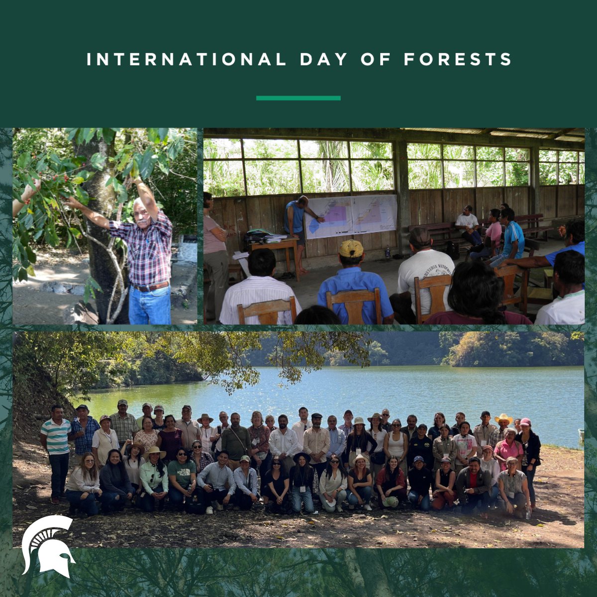 Happy #InternationalDayofForests! 🌳 Today, let's celebrate the incredible role that forests play in combating climate change. Let's stand together in growing our forests for the well-being of our planet.