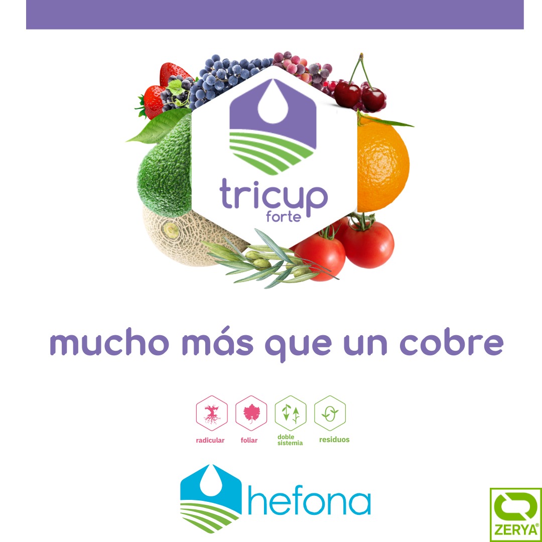 ¿Quieres un cobre MUY DIFERENTE? Utiliza TRICUP de HEFONA.

#hefona #tricup #residuocero #calidad #somosexcelencia