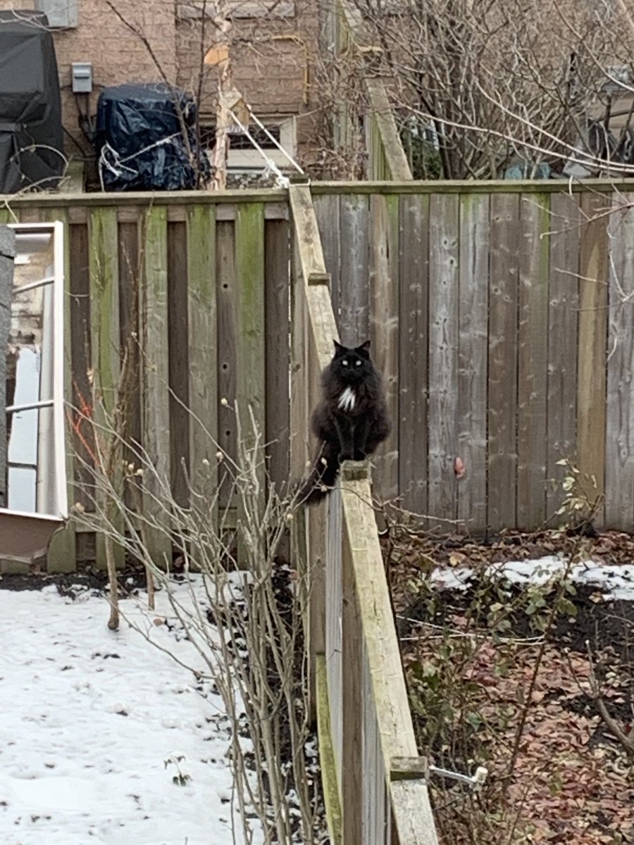 дедушка ЭЭХ (@vladgorr) on Twitter photo 