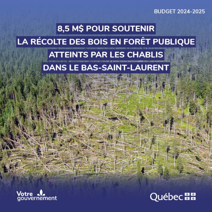 📢 Octroi de 8,5 M$ du @GouvQC pour soutenir la récolte des #bois en forêt publique affectés par les chablis de décembre 2022 dans la région du #BasSaintLaurent. Communiqué 👉 tinyurl.com/32h2y997 #subventions #économie