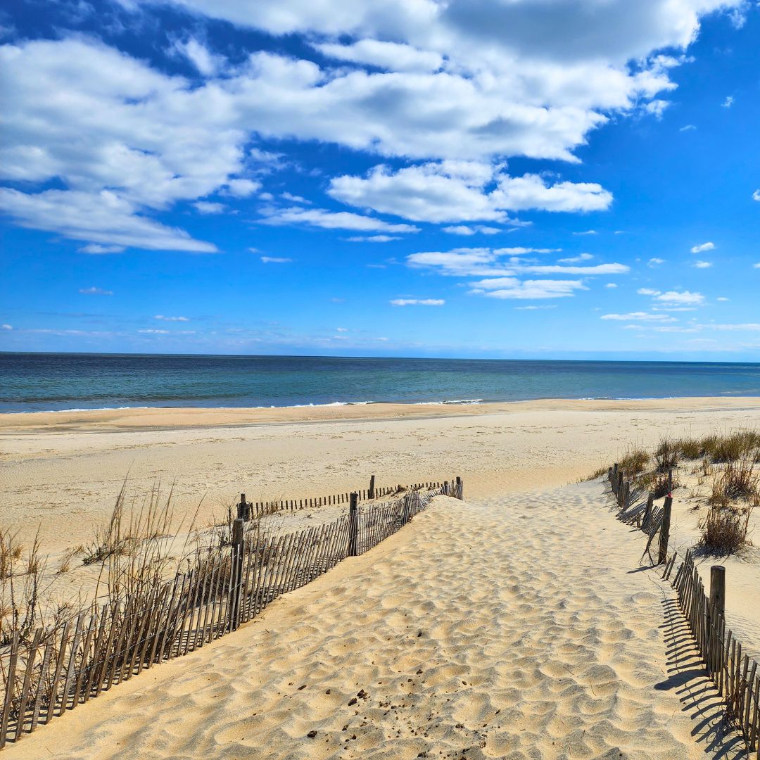 Delaware State Parks tweet media