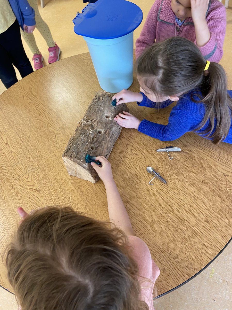 This week we have been learning about the sugar bush during outdoor learning <a href="/BobcaygeonPS/">BobcaygeonPS</a> We were fortunate enough to have Brittany Taylor from Curve Lake First Nations come to speak to us and share her knowledge about the sugar bush and it’s history. We also tried tree tapping!
