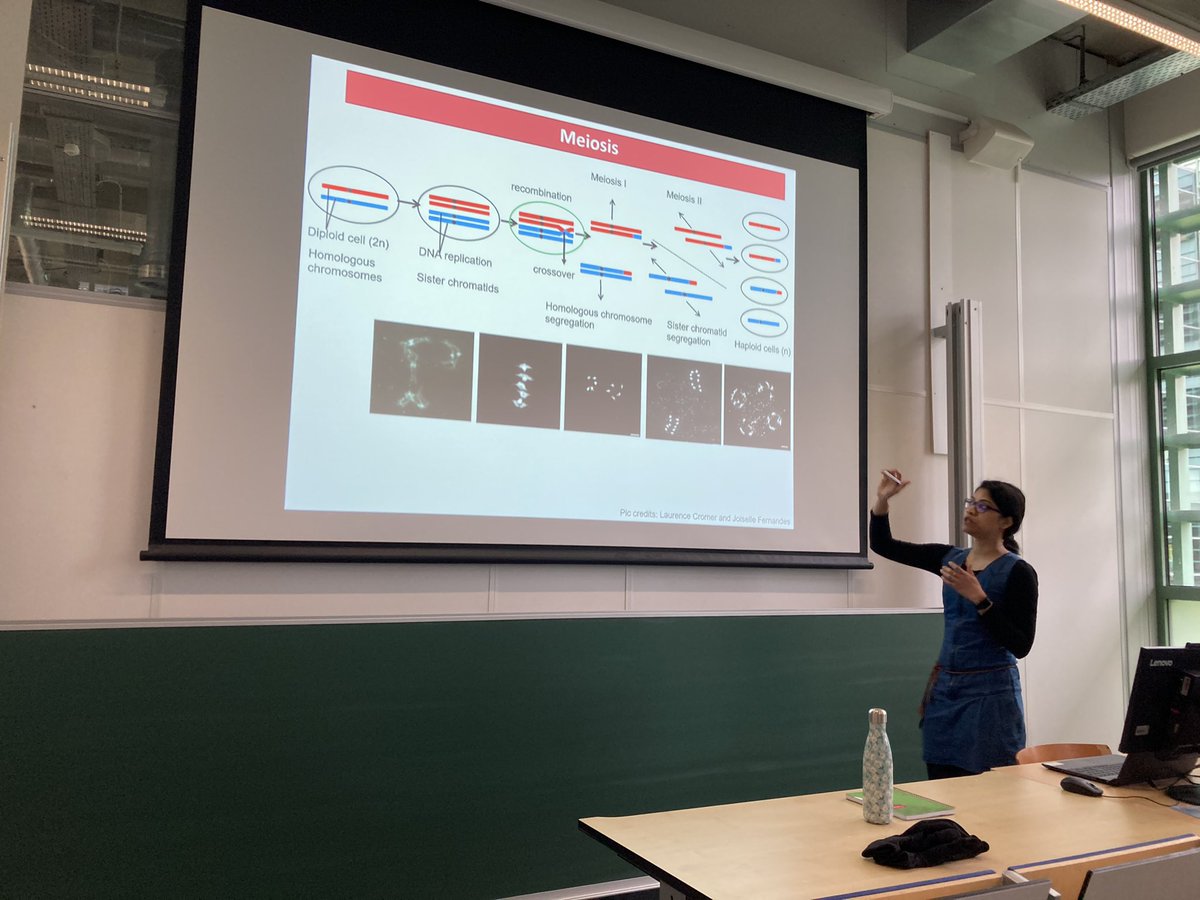 We had a terrific first ever Radboud University-MPI for Plant Breeding Research meeting on Plant Biology in Nijmegen today. Thanks to all twelve speakers and other participants! @Radboud_Uni @RIBESresearch @mpipz_cologne