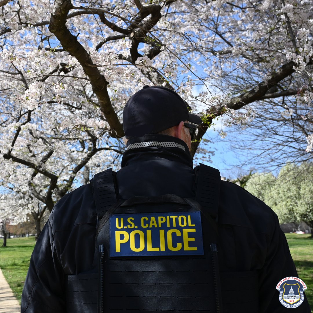 ‘Tis the season for spring! Check out some of the beautiful cherry blossom trees in full bloom around the U.S. Capitol.🌸