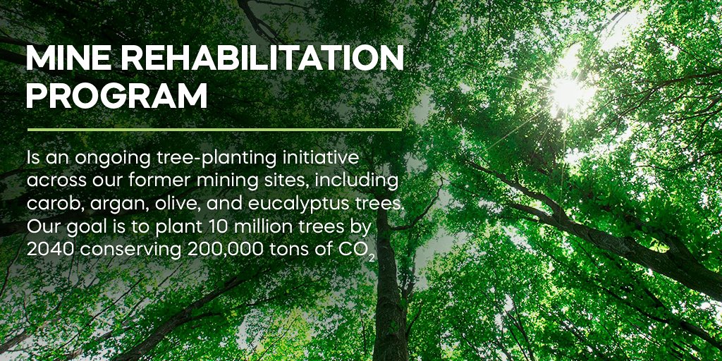 Happy #InternationalForestDay 🌳🌍   With #OCPFoundation, we are proud to be actively engaged in several initiatives, harnessing the potential of local trees, empowering communities, and nurturing livelihoods in #Africa and beyond.   #ForestDay #IntlForestDay