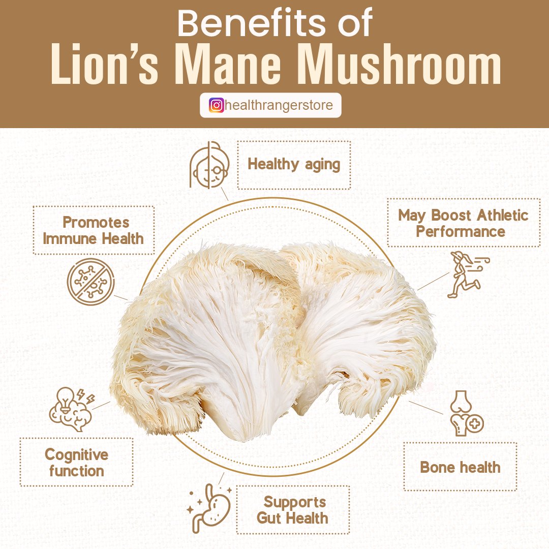 Benefits of Lion’s Mane Mushroom #superfood #functionalmushroom #healthbenefits #wellness #organic #goodfood