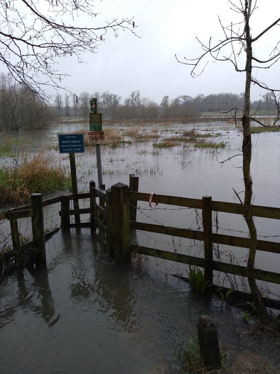 Sadly we have had to cancel this weekend's Great British Dog Walk at the Munden Estate due to a little bit of flooding.
But you can still join us at one of our other walks around the country
hearingdogs.org.uk/support/great-…