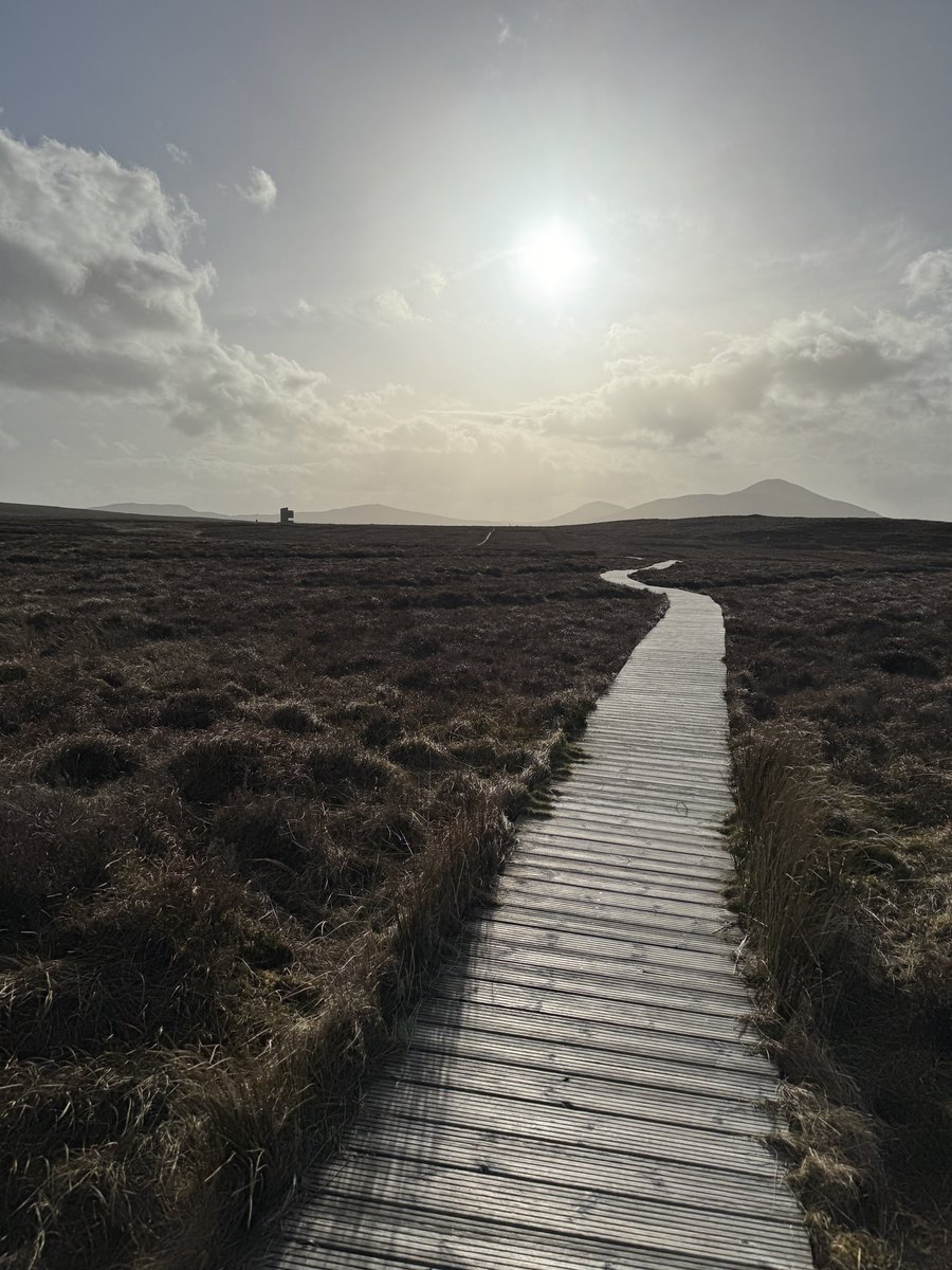 John King tweet media