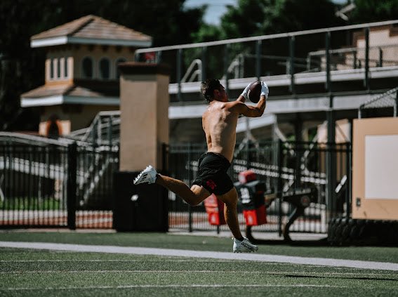 Shane Mclaughlin tweet media