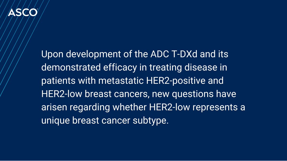 Experts review recent data & advances in drug development of anti-HER2 agents as they explore whether HER2-low is a unique #BreastCancer subtype: brnw.ch/21wI6qH #BCSM @maryam_lustberg @AdrianaKahnMD @RimmPathology @YaleCancer @yalebreast #ASCODailyNews