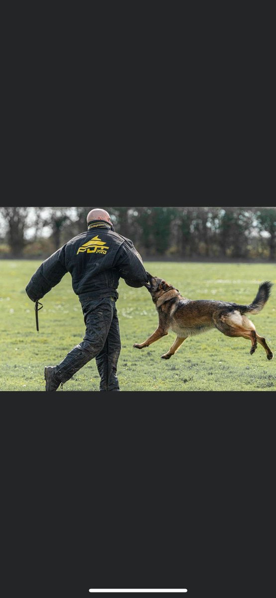 Big shout out to team Tom and PD Rebel <a href="/MetTaskforce/">Met Police Taskforce</a> for winning the London Regional Police Dog Trials … and to all the GP Dog teams who qualify to go on to the <a href="/PoliceDogTrials/">National Police Dog Trials UK</a> . 
Big shout out to PC Tottman-Shaw and her PD Freya , the highest scoring team from 3 Dog Support