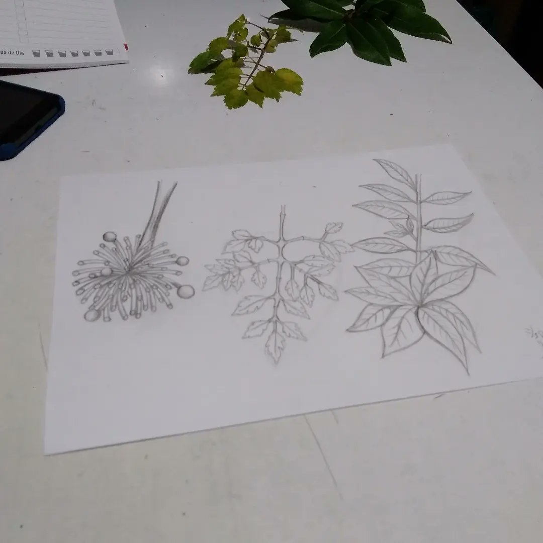 EarthaSimpson's tweet image. My second class of 7 Days of Drawing - 2 - Becoming a Better Observer. From #shareaac  @artistsacademyofficial